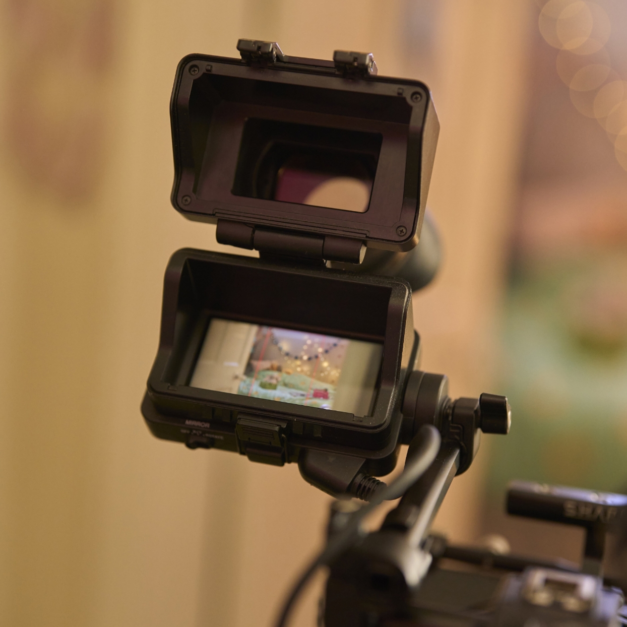 Video Camera Rear Screen Video Camera Rear Screen